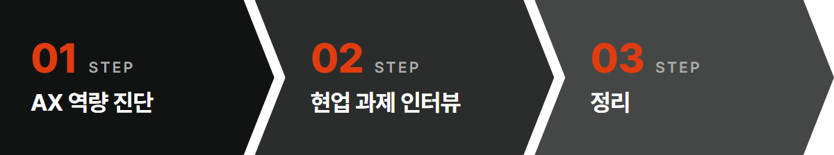 1단계 AX 역량 진단, 2단계 현업 과제 인터뷰, 3단계 정리